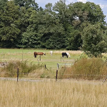 La Hasienda גלדרן