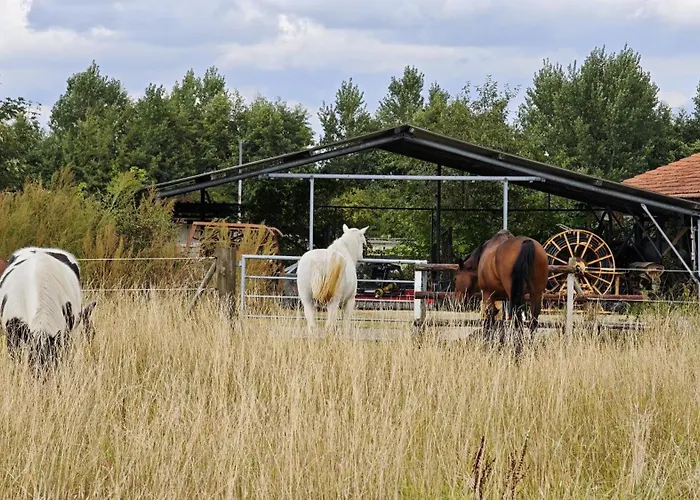La Hasienda Daire Geldern